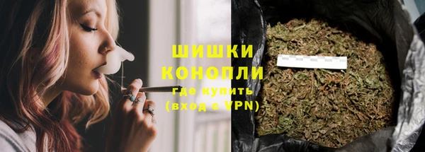 spice Новодвинск