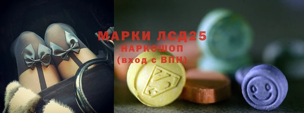 PSILOCYBIN Нефтегорск