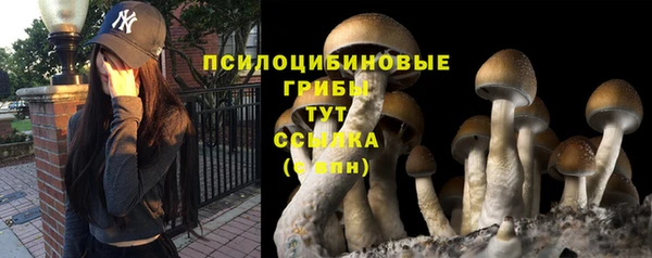 кокаин перу Новозыбков